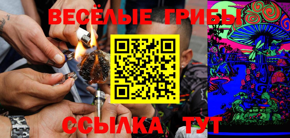 Кириши  Псилоцибиновые грибы мухоморы  Вход с VPN 