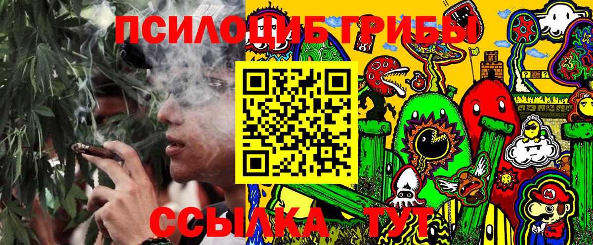 Галлюциногенные грибы Psilocybine cubensis Кириши